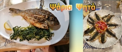 ΨΑΡΙΑ ΨΗΤΑ